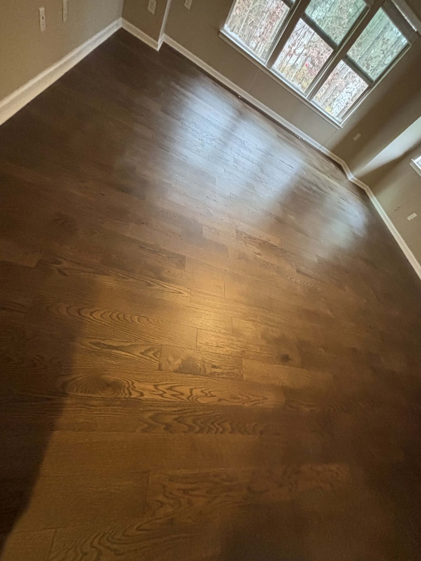 Red oak hardwood refinished to a dark walnut stain in a sunlit living room.